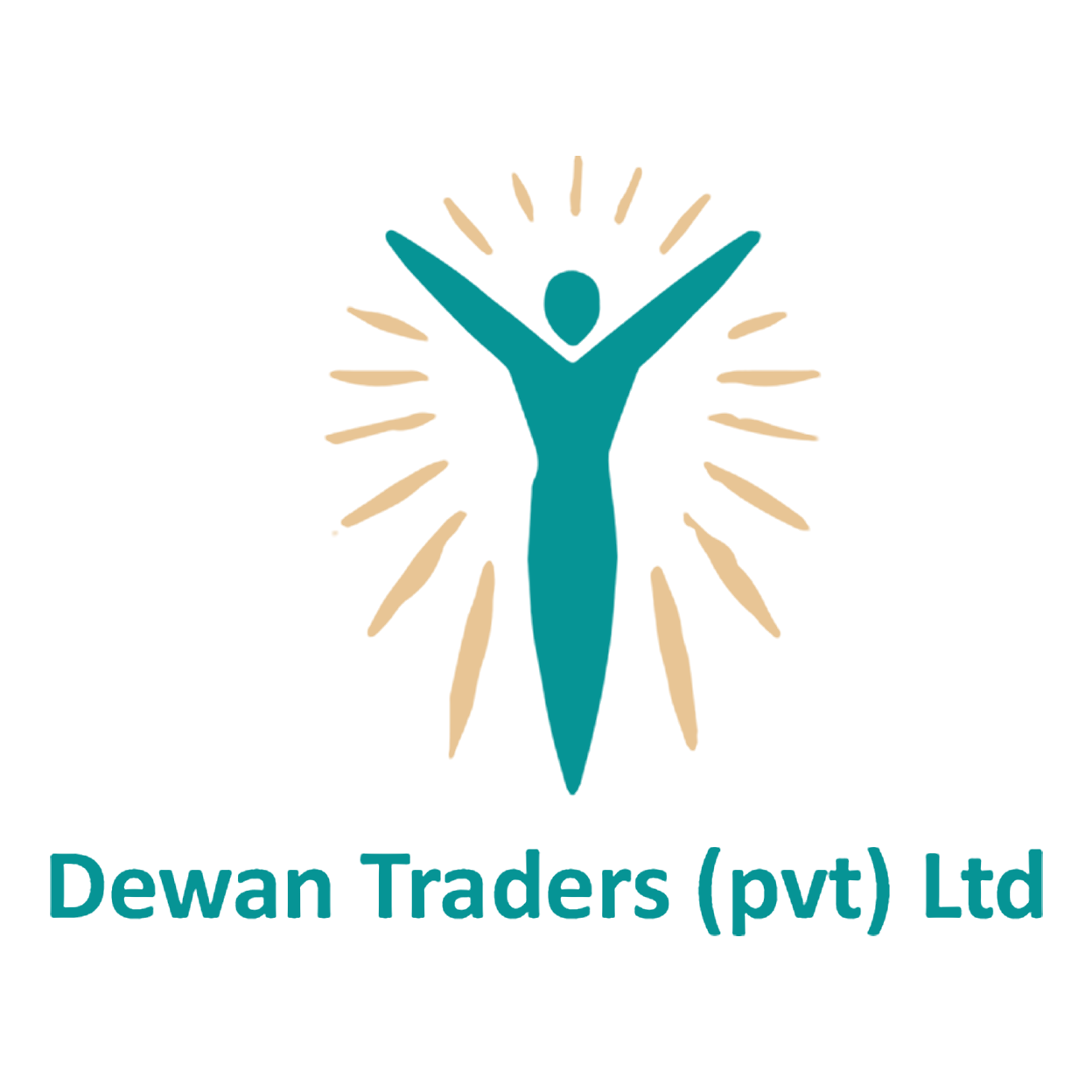 Dewan Traders Pvt Ltd logo